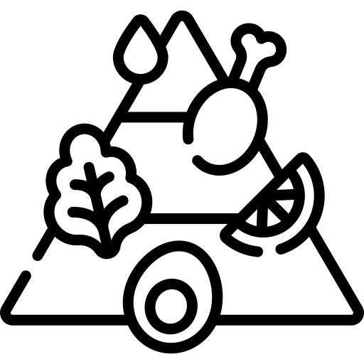 Inicio nutritional pyramid